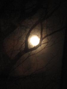 January 2012 Full Moon